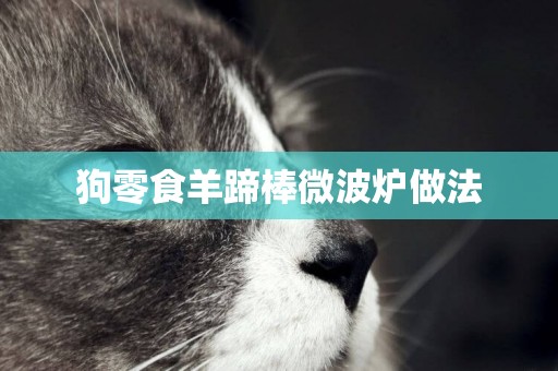 狗零食羊蹄棒微波爐做法