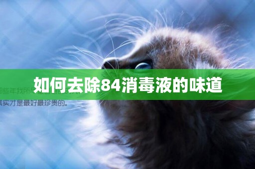 如何去除84消毒液的味道