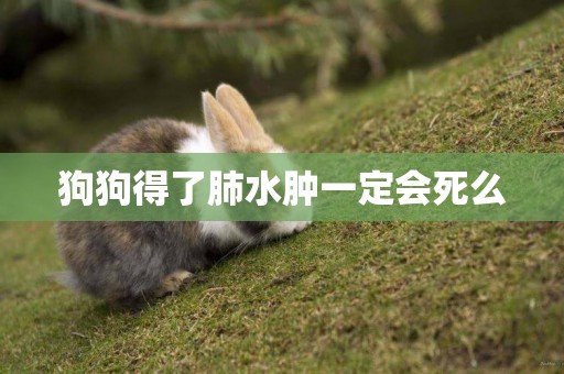 狗狗得了肺水腫一定會死么