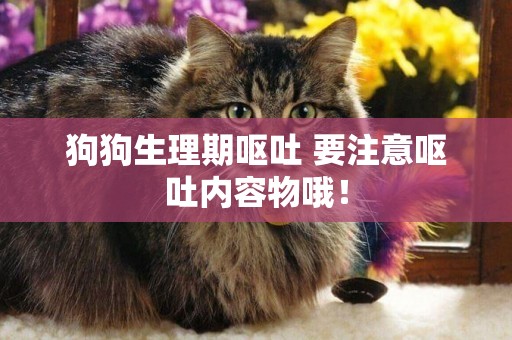 狗狗生理期嘔吐 要注意嘔吐內容物哦！