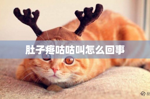 肚子疼咕咕叫怎么回事