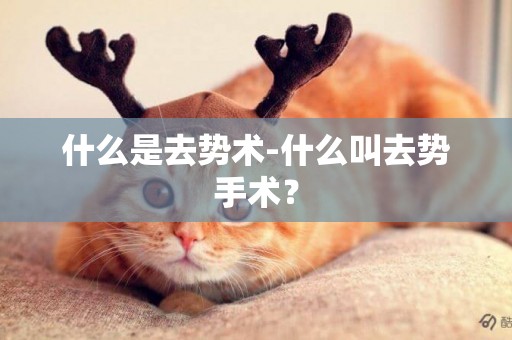 什么是去勢術-什么叫去勢手術？