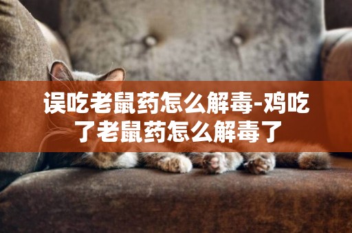 誤吃老鼠藥怎么解毒-雞吃了老鼠藥怎么解毒了