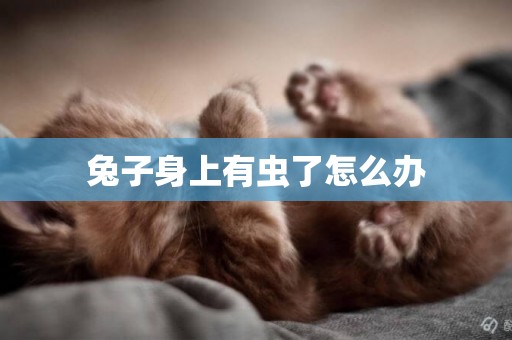 兔子身上有蟲了怎么辦