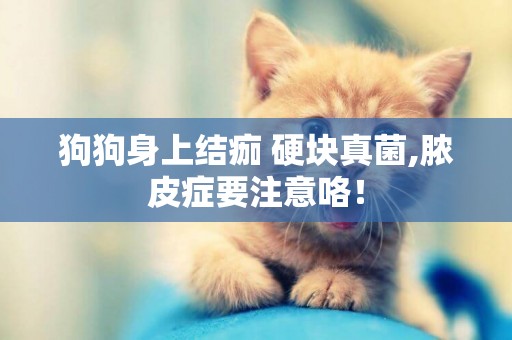 狗狗身上結痂 硬塊真菌,膿皮癥要注意咯！