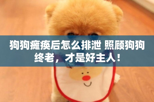 狗狗癱瘓后怎么排泄 照顧狗狗終老，才是好主人！