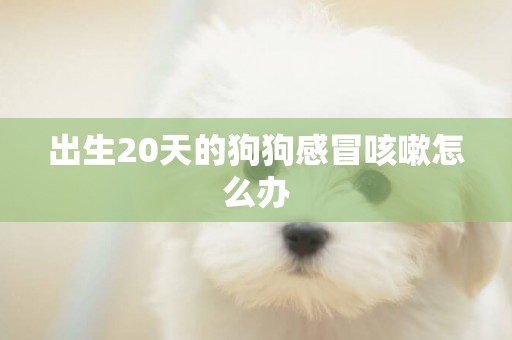 出生20天的狗狗感冒咳嗽怎么辦