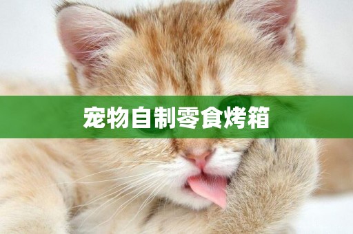 寵物自制零食烤箱