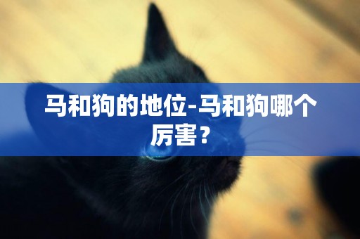 馬和狗的地位-馬和狗哪個厲害？