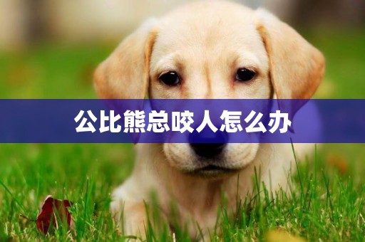 公比熊總咬人怎么辦
