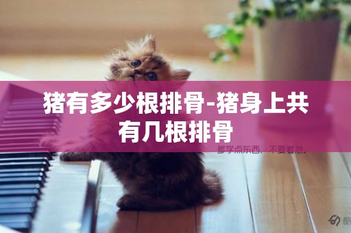 豬有多少根排骨-豬身上共有幾根排骨