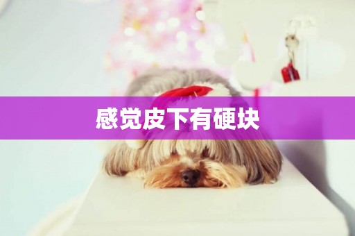 感覺皮下有硬塊