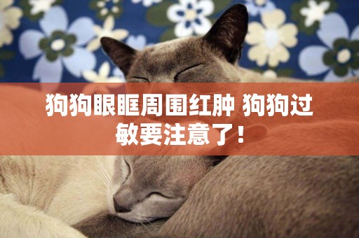 狗狗眼眶周圍紅腫 狗狗過敏要注意了！
