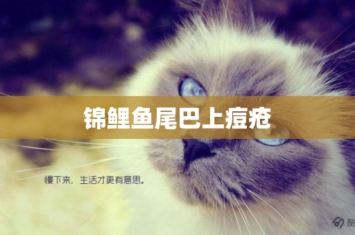 錦鯉魚尾巴上痘瘡