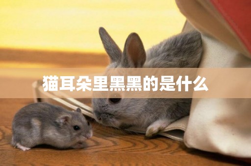 貓耳朵里黑黑的是什么