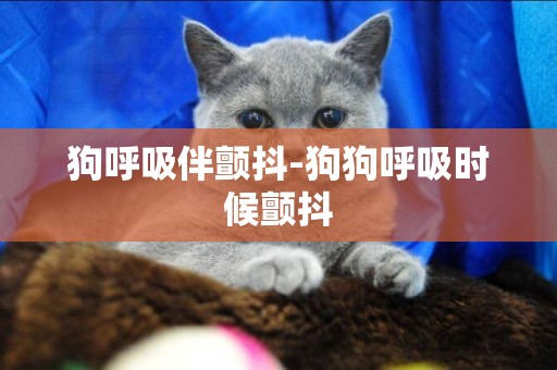 狗呼吸伴顫抖-狗狗呼吸時候顫抖