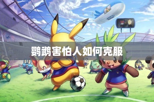 鸚鵡害怕人如何克服