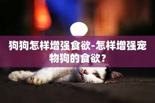 狗狗怎樣增強食欲-怎樣增強寵物狗的食欲？