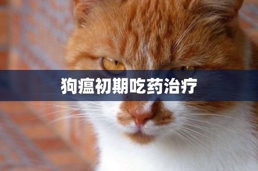 狗瘟初期吃藥治療