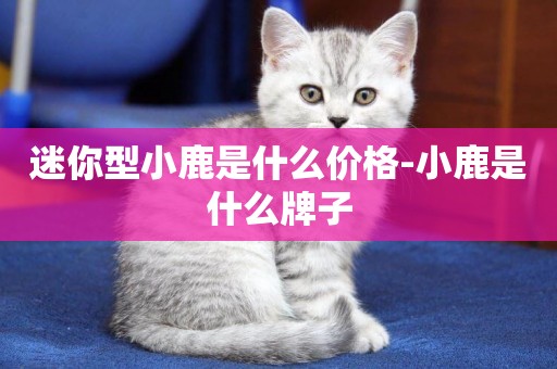 迷你型小鹿是什么價格-小鹿是什么牌子