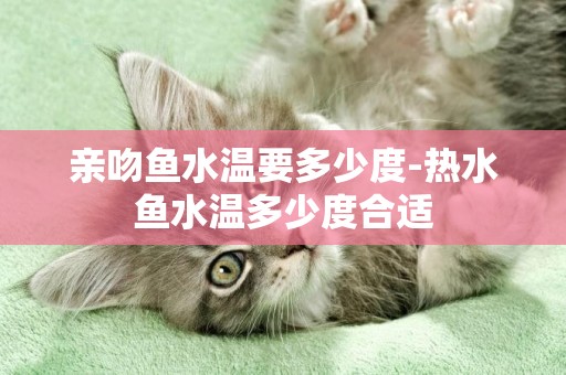 親吻魚水溫要多少度-熱水魚水溫多少度合適