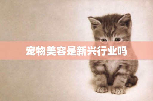 寵物美容是新興行業嗎
