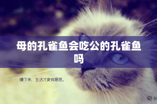 母的孔雀魚會吃公的孔雀魚嗎