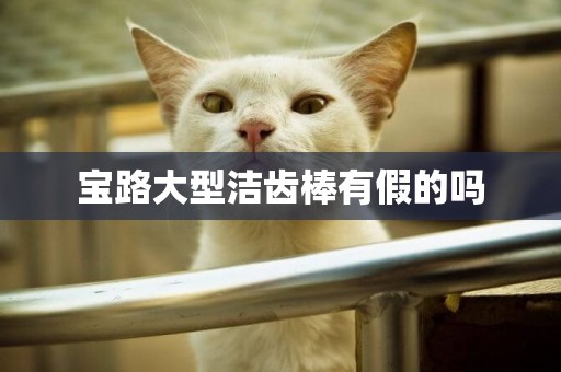 寶路大型潔齒棒有假的嗎