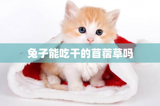 兔子能吃干的苜蓿草嗎