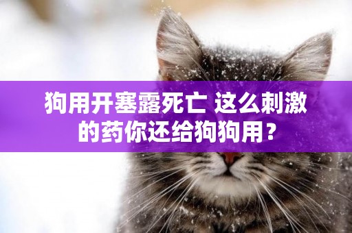 狗用開塞露死亡 這么刺激的藥你還給狗狗用？