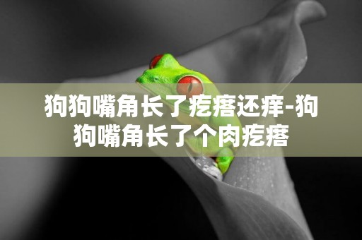 狗狗嘴角長了疙瘩還癢-狗狗嘴角長了個肉疙瘩