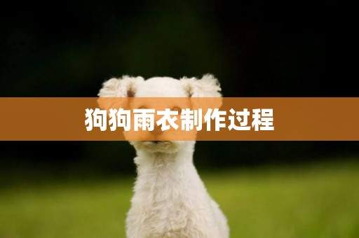 狗狗雨衣制作過程