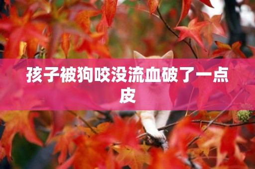 孩子被狗咬沒流血破了一點皮
