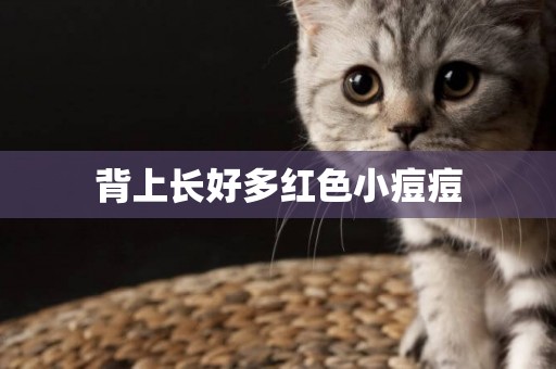 背上長好多紅色小痘痘
