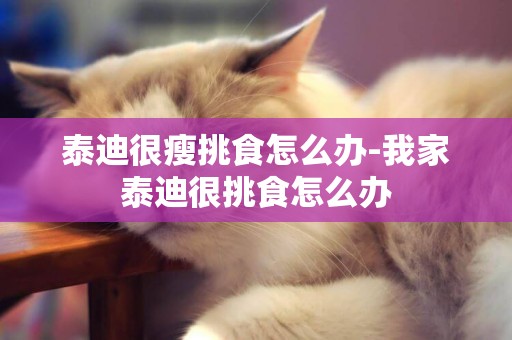 泰迪很瘦挑食怎么辦-我家泰迪很挑食怎么辦