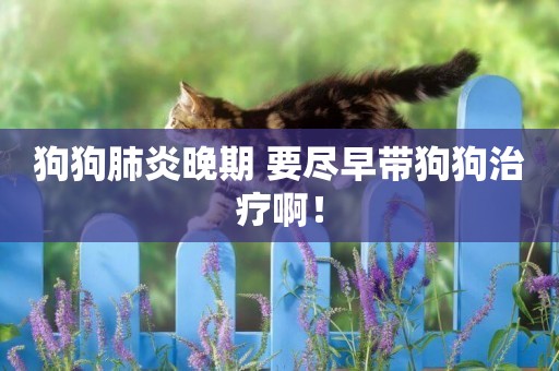 狗狗肺炎晚期 要盡早帶狗狗治療啊！
