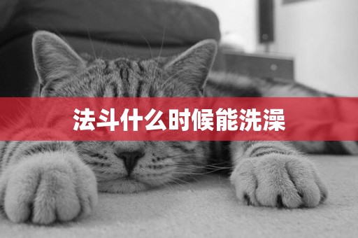 法斗什么時候能洗澡