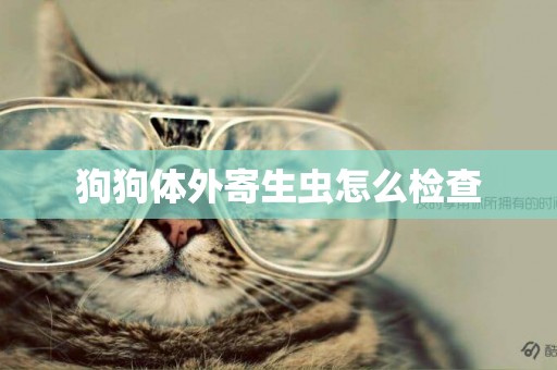狗狗體外寄生蟲怎么檢查