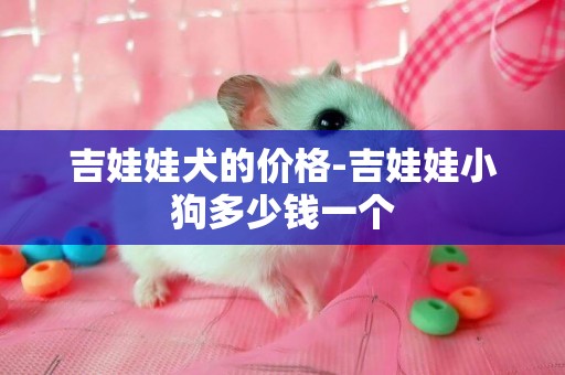 吉娃娃犬的價格-吉娃娃小狗多少錢一個