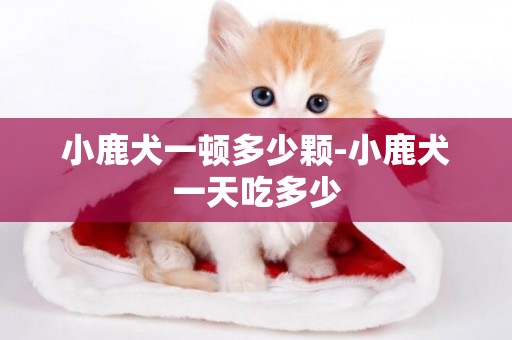 小鹿犬一頓多少顆-小鹿犬一天吃多少