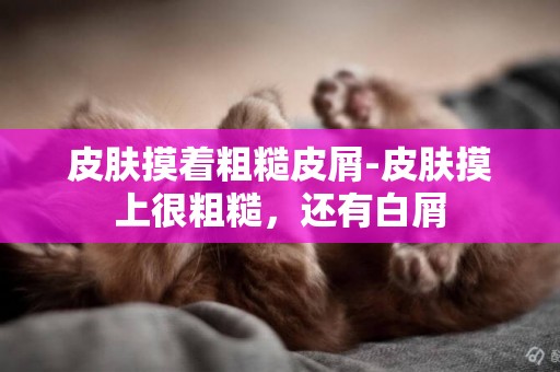 皮膚摸著粗糙皮屑-皮膚摸上很粗糙，還有白屑