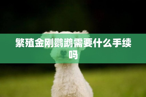 繁殖金剛鸚鵡需要什么手續嗎