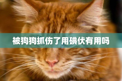 被狗狗抓傷了用碘伏有用嗎