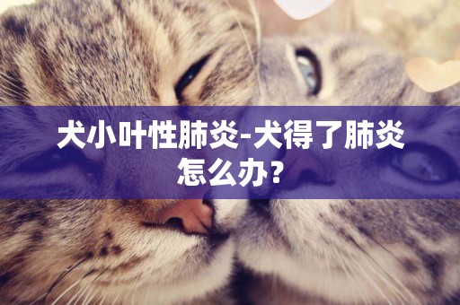 犬小葉性肺炎-犬得了肺炎怎么辦？