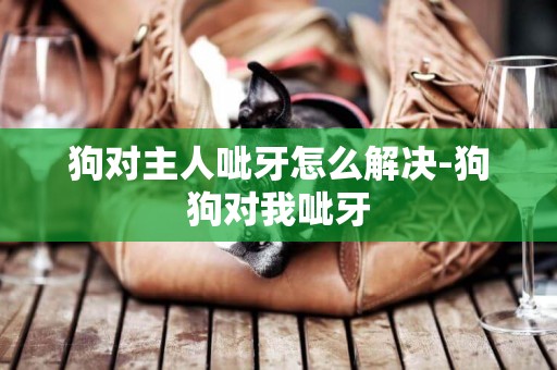 狗對主人呲牙怎么解決-狗狗對我呲牙