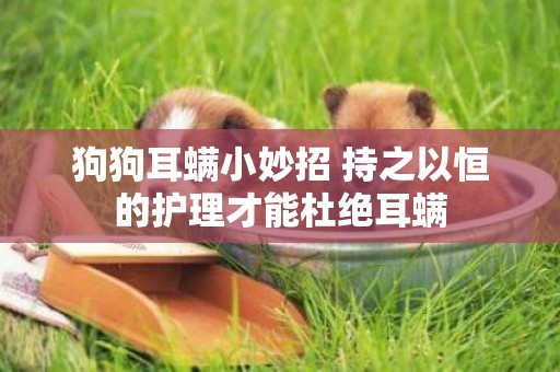 狗狗耳螨小妙招 持之以恒的護理才能杜絕耳螨