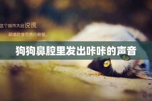 狗狗鼻腔里發出咔咔的聲音