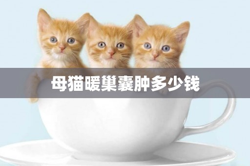 母貓暖巢囊腫多少錢