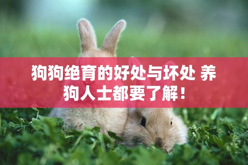狗狗絕育的好處與壞處 養狗人士都要了解！