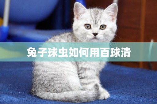 兔子球蟲如何用百球清